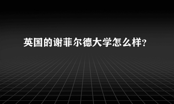 英国的谢菲尔德大学怎么样?
