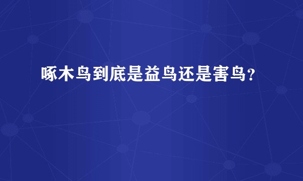 啄木鸟到底是益鸟还是害鸟？