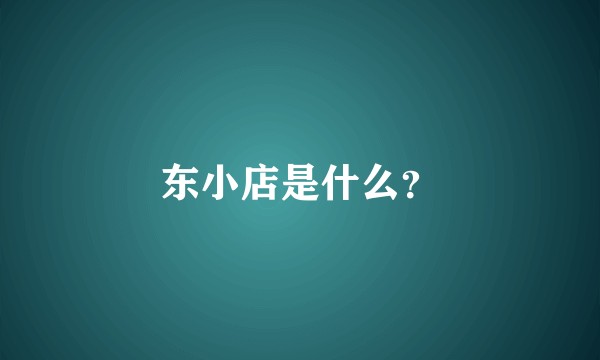 东小店是什么？