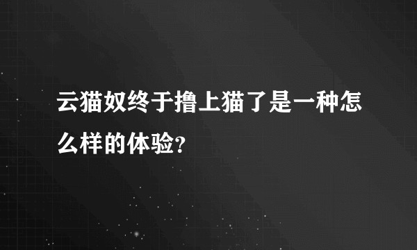 云猫奴终于撸上猫了是一种怎么样的体验？