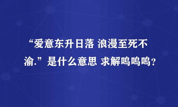 “爱意东升日落 浪漫至死不渝.”是什么意思 求解呜呜呜？