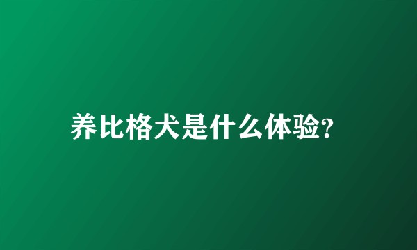 养比格犬是什么体验？