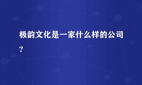 极韵文化是一家什么样的公司？