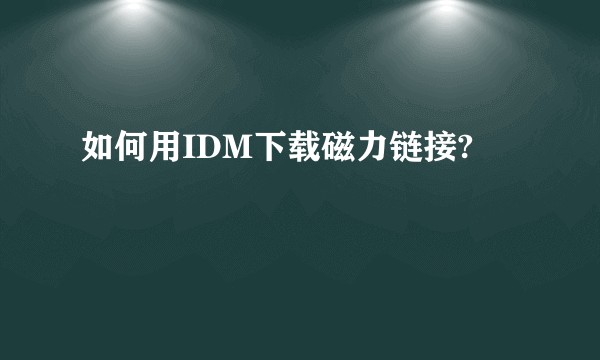 如何用IDM下载磁力链接?