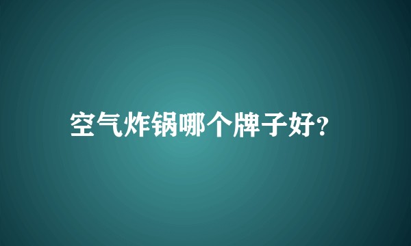 空气炸锅哪个牌子好？