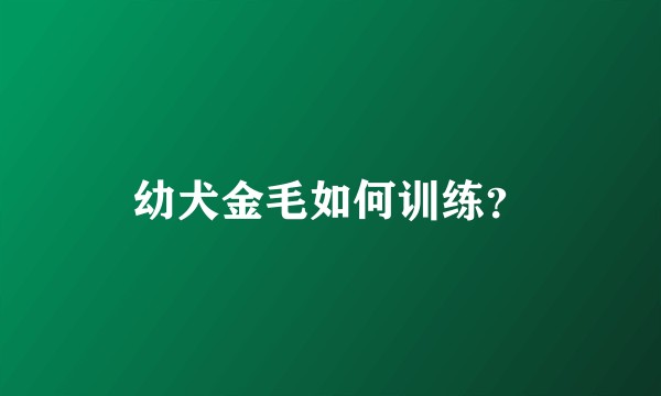 幼犬金毛如何训练？