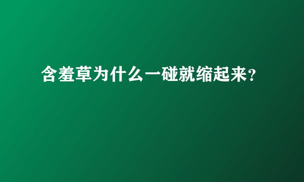 含羞草为什么一碰就缩起来？
