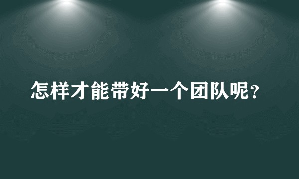 怎样才能带好一个团队呢？