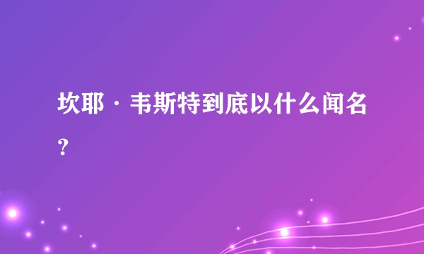 坎耶·韦斯特到底以什么闻名？