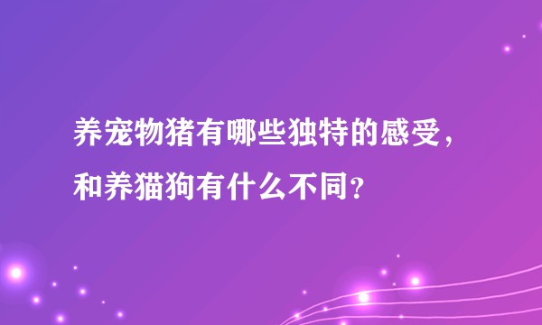 养宠物猪有哪些独特的感受，和养猫狗有什么不同？