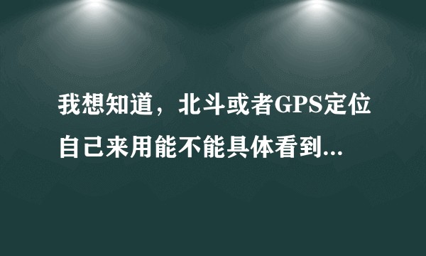 我想知道，北斗或者GPS定位自己来用能不能具体看到某个人，怎么操作？