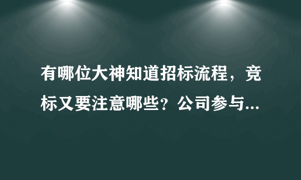 有哪位大神知道招标流程，竞标又要注意哪些？公司参与竞标需要注意什么？