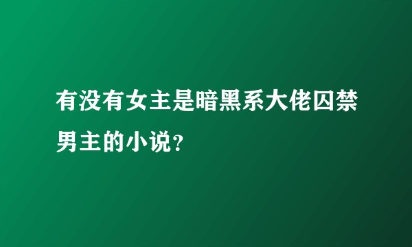 有没有女主是暗黑系大佬囚禁男主的小说？