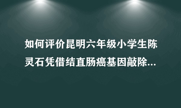 如何评价昆明六年级小学生陈灵石凭借结直肠癌基因敲除研究参加全国青少年科技创新大赛，他的科研能力如何？