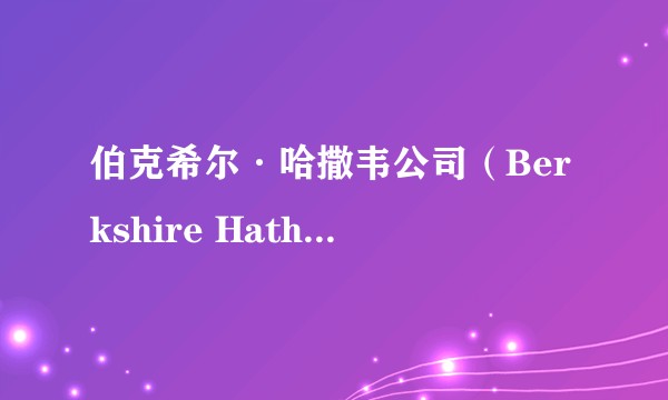 伯克希尔·哈撒韦公司(Berkshire Hathaway)有年鉴吗?哪里可以找到?