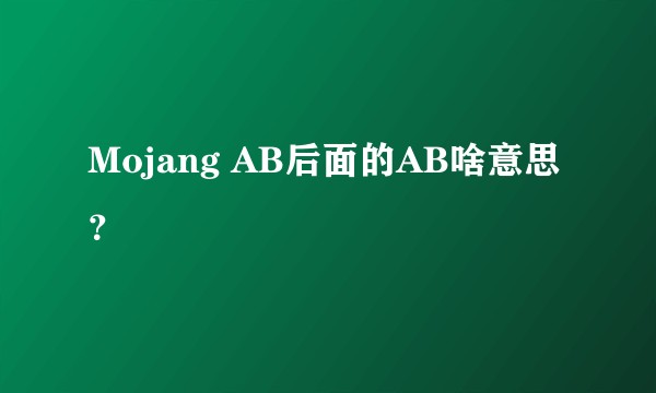 Mojang AB后面的AB啥意思？