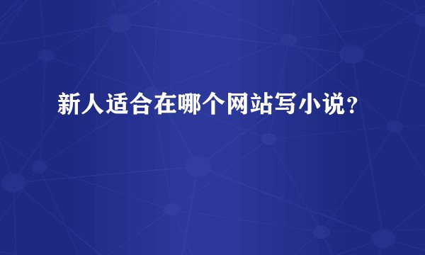 新人适合在哪个网站写小说?