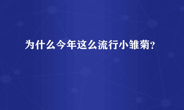 为什么今年这么流行小雏菊？