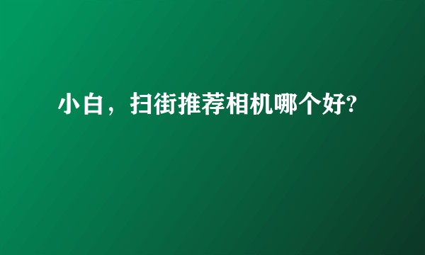 小白,扫街推荐相机哪个好?