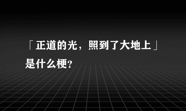 「正道的光，照到了大地上」是什么梗？