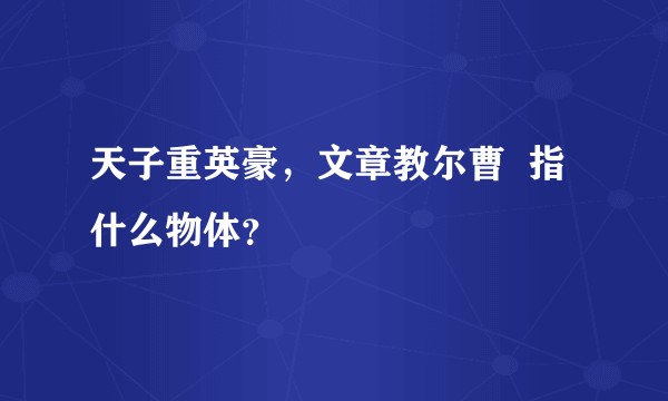 天子重英豪，文章教尔曹  指什么物体？