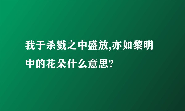 我于杀戮之中盛放,亦如黎明中的花朵什么意思?