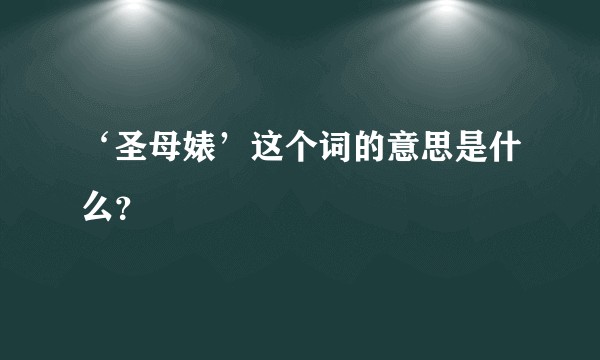 ‘圣母婊’这个词的意思是什么？