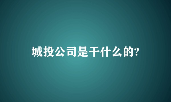 城投公司是干什么的?