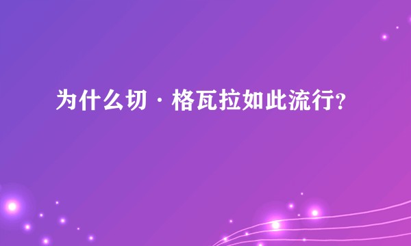 为什么切·格瓦拉如此流行？