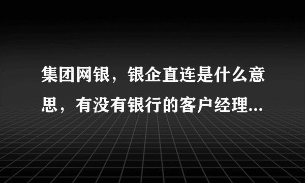 集团网银,银企直连是什么意思,有没有银行的客户经理解答一下下?