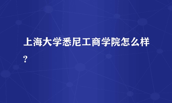 上海大学悉尼工商学院怎么样?