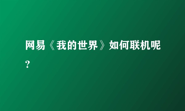 网易《我的世界》如何联机呢？
