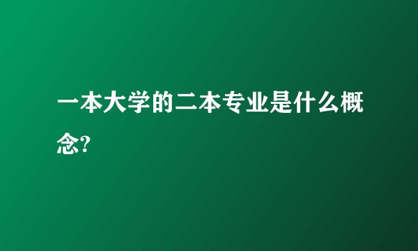 一本大学的二本专业是什么概念?