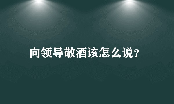 向领导敬酒该怎么说？