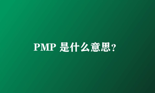 PMP 是什么意思？