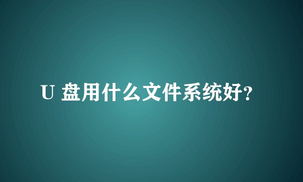 U 盘用什么文件系统好?