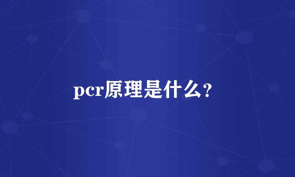 pcr原理是什么？