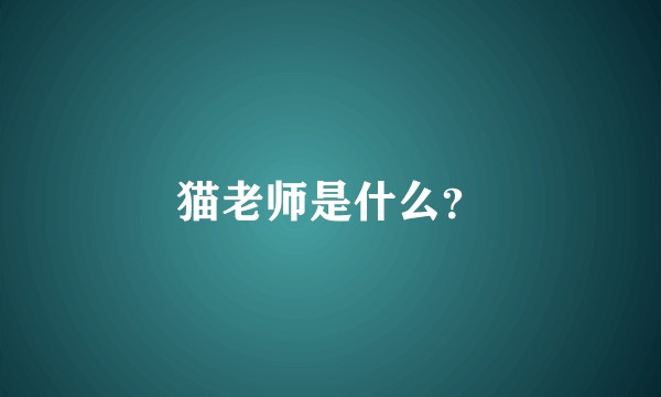 猫老师是什么？
