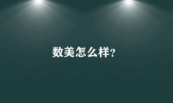 数美怎么样？