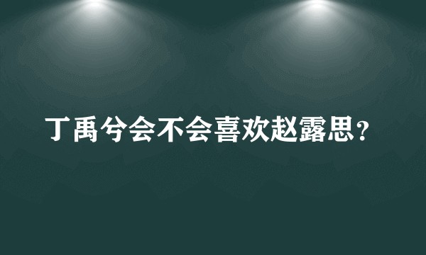 丁禹兮会不会喜欢赵露思？