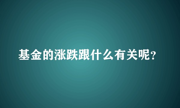 基金的涨跌跟什么有关呢？