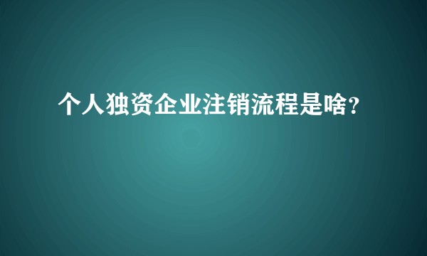 个人独资企业注销流程是啥?