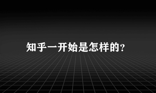知乎一开始是怎样的？