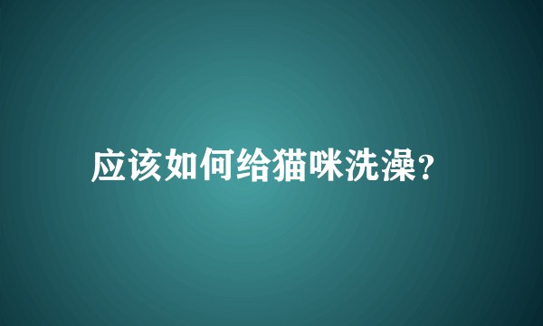 应该如何给猫咪洗澡？