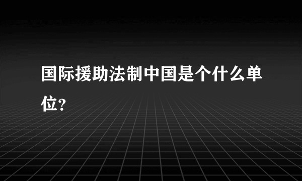 国际援助法制中国是个什么单位？