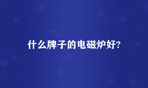 什么牌子的电磁炉好?