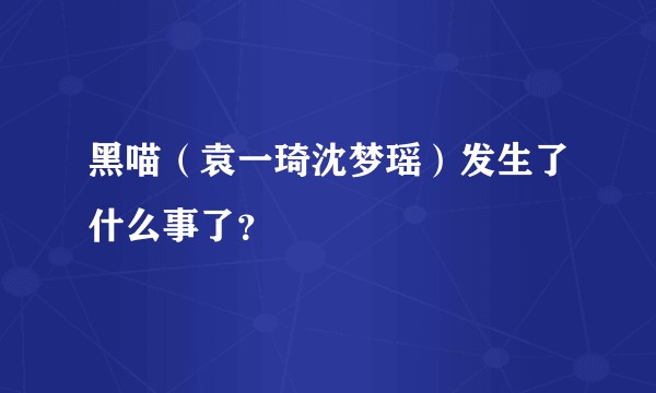 黑喵（袁一琦沈梦瑶）发生了什么事了？