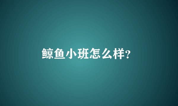 鲸鱼小班怎么样?