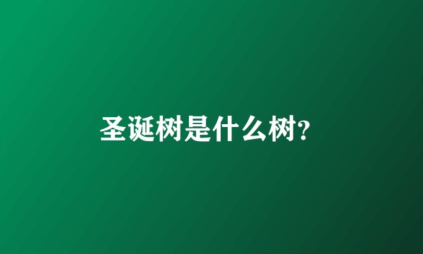 圣诞树是什么树？