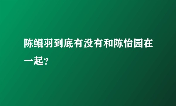 陈鲲羽到底有没有和陈怡园在一起？